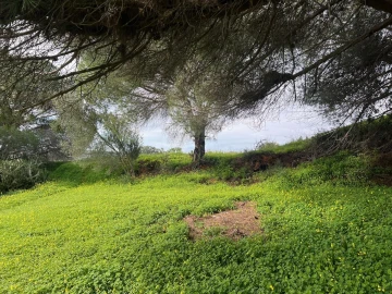Terreno para Venda em Guia