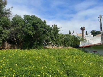Terreno para Venda em Guia