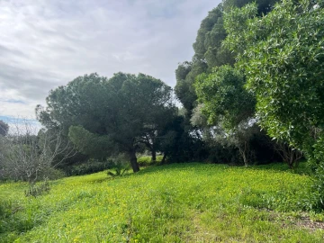 Terreno para Venda em Guia