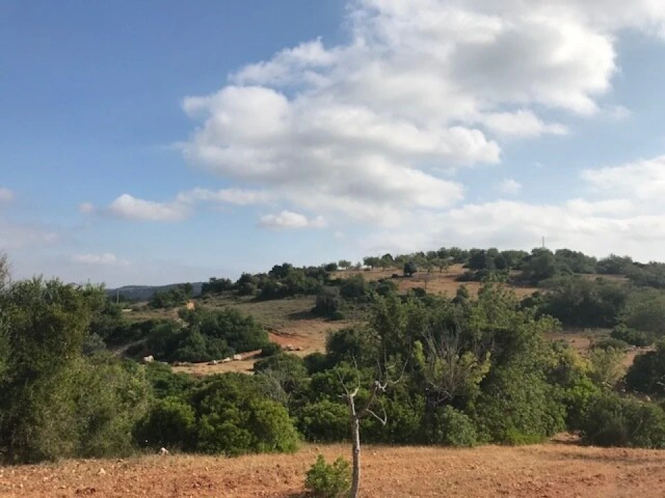 Terreno para Venda em Ferreiras Foto 3