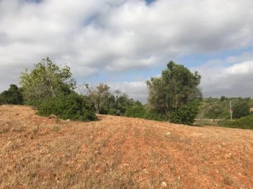 Terreno para Venda em Ferreiras
