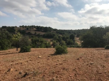 Terreno para Venda em Ferreiras