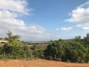 Terreno para Venda em Ferreiras
