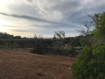 Terreno para Venda em Ferreiras