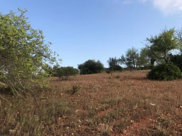 Terreno para Venda em Ferreiras