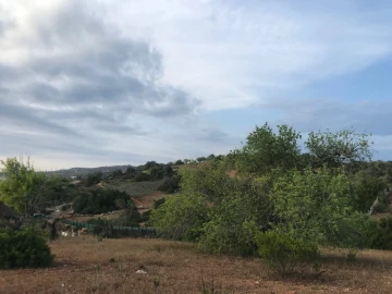 Terreno para Venda em Ferreiras