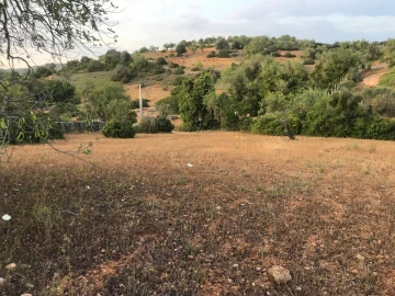 Terreno para Venda em Ferreiras