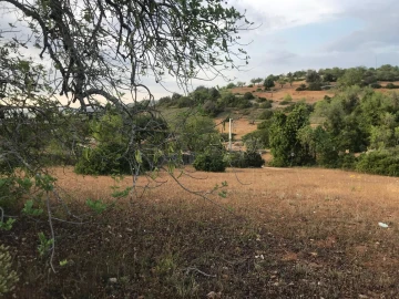 Terreno para Venda em Ferreiras