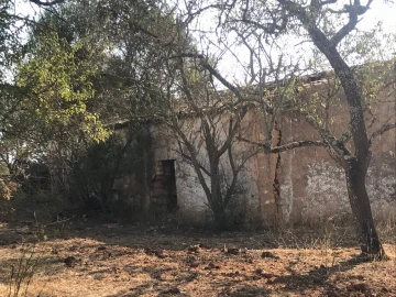 Terreno para Venda em Algoz e Tunes