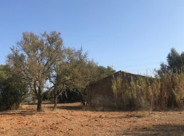 Terreno para Venda em Algoz e Tunes