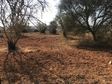 Terreno para Venda em Algoz e Tunes