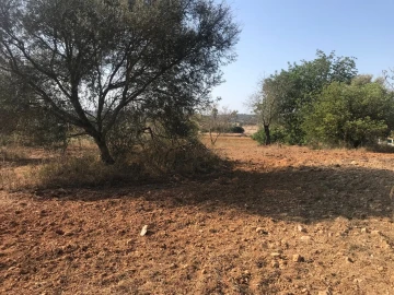 Terreno para Venda em Algoz e Tunes