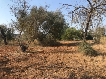 Terreno para Venda em Algoz e Tunes