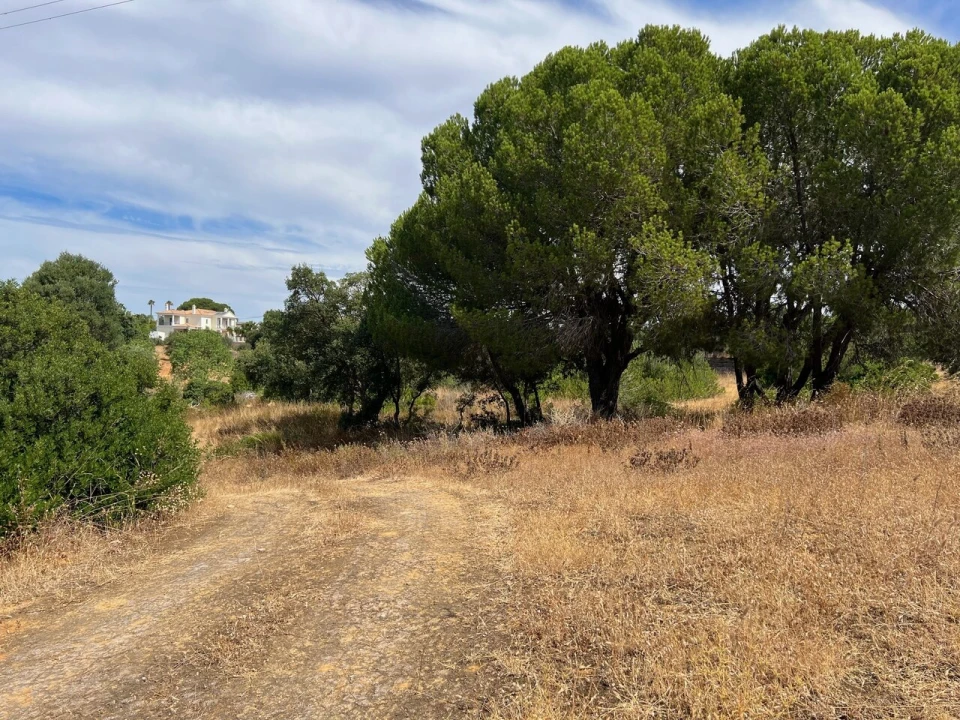 Terreno para Venda em Ferreiras Foto 35