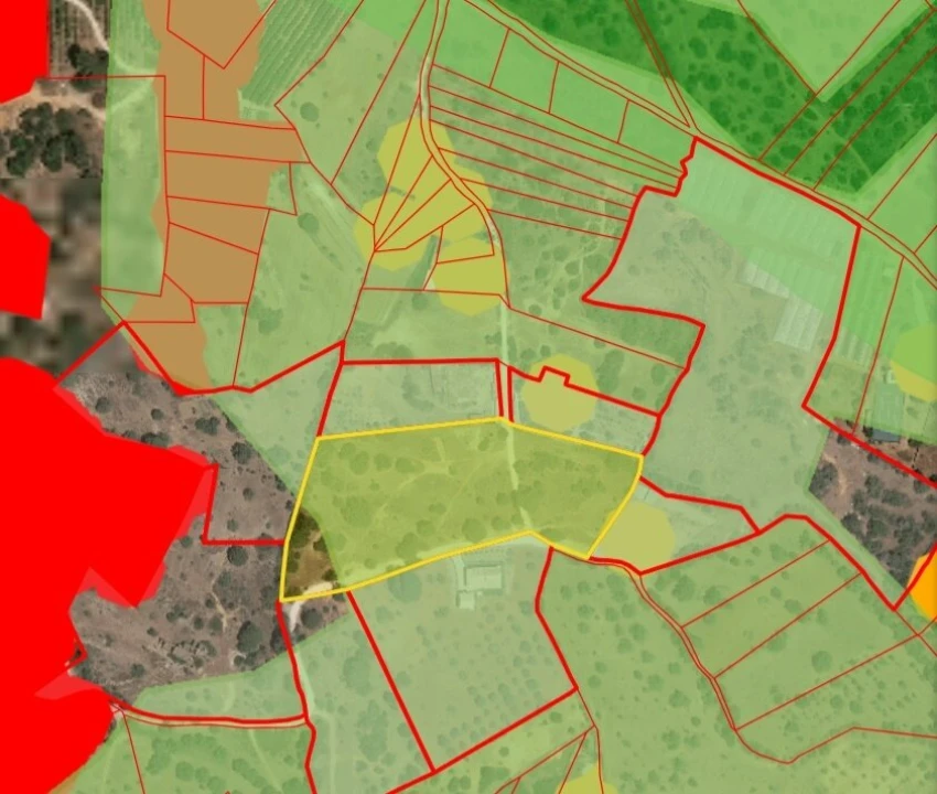 Terreno para Venda em Ferreiras Foto 36
