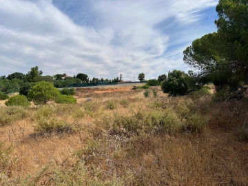 Terreno para Venda em Ferreiras