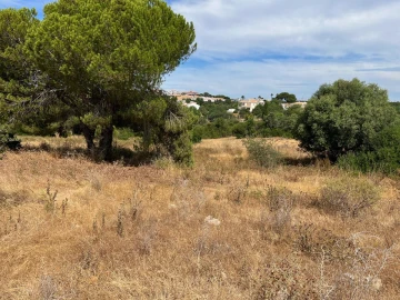 Terreno para Venda em Ferreiras