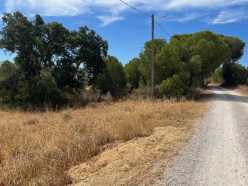 Terreno para Venda em Ferreiras
