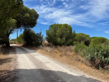 Terreno para Venda em Ferreiras