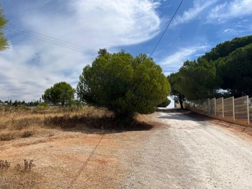Terreno para Venda em Ferreiras