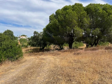 Terreno para Venda em Ferreiras