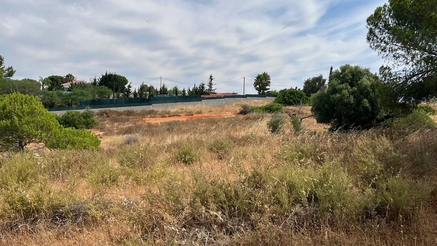 Terreno para Venda em Ferreiras