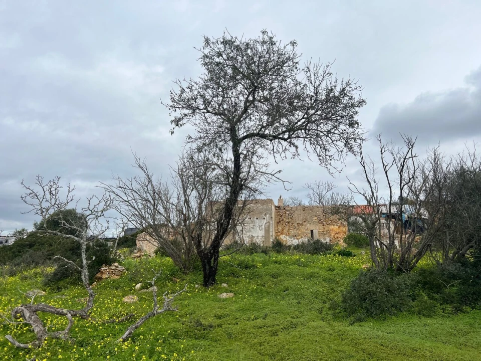Terreno para Venda em Alcantarilha e Pêra Foto 8