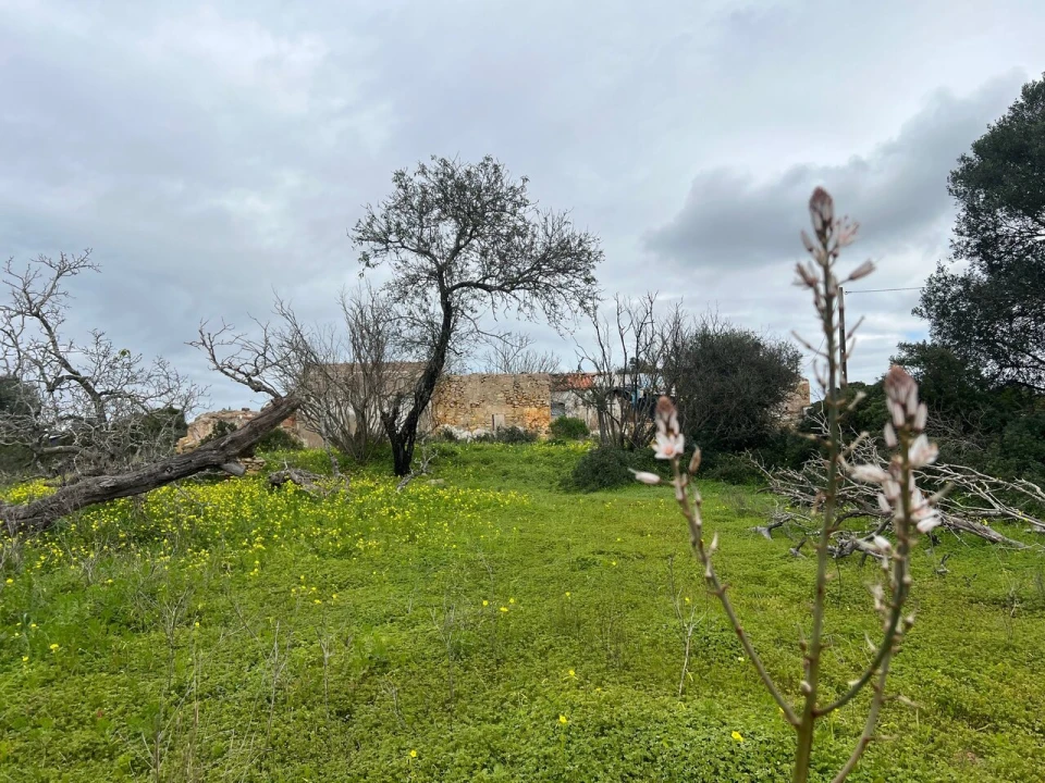 Terreno para Venda em Alcantarilha e Pêra Foto 10