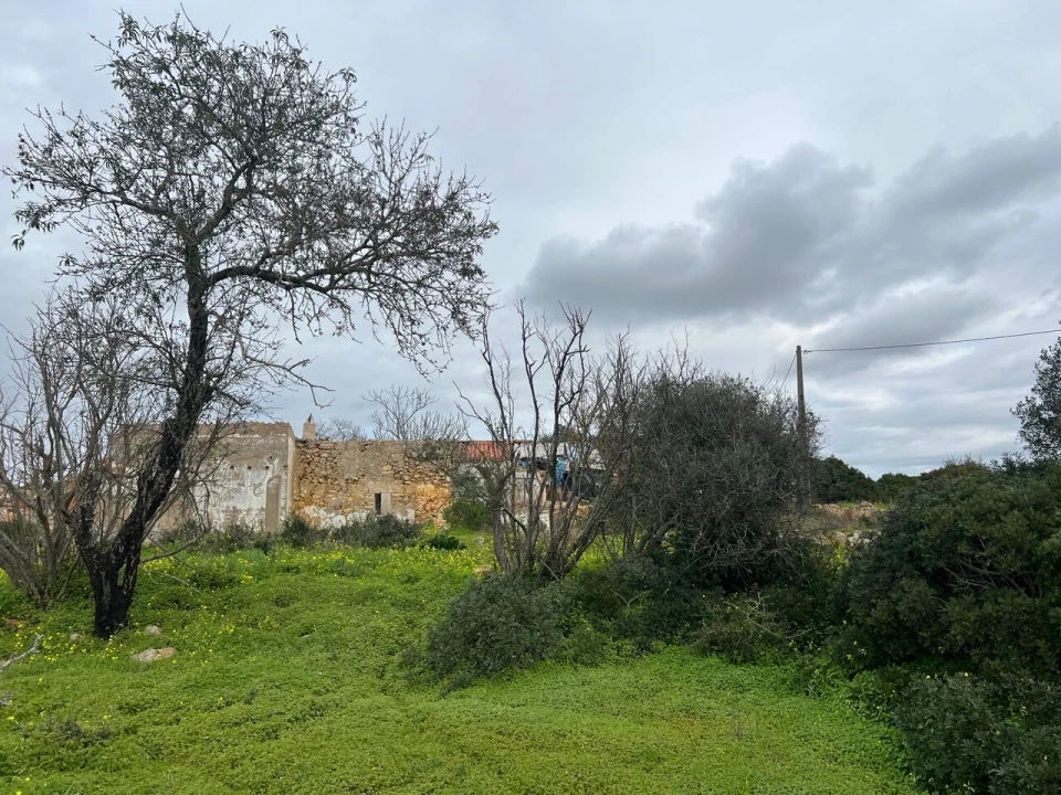 Terreno para Venda em Alcantarilha e Pêra Foto 16