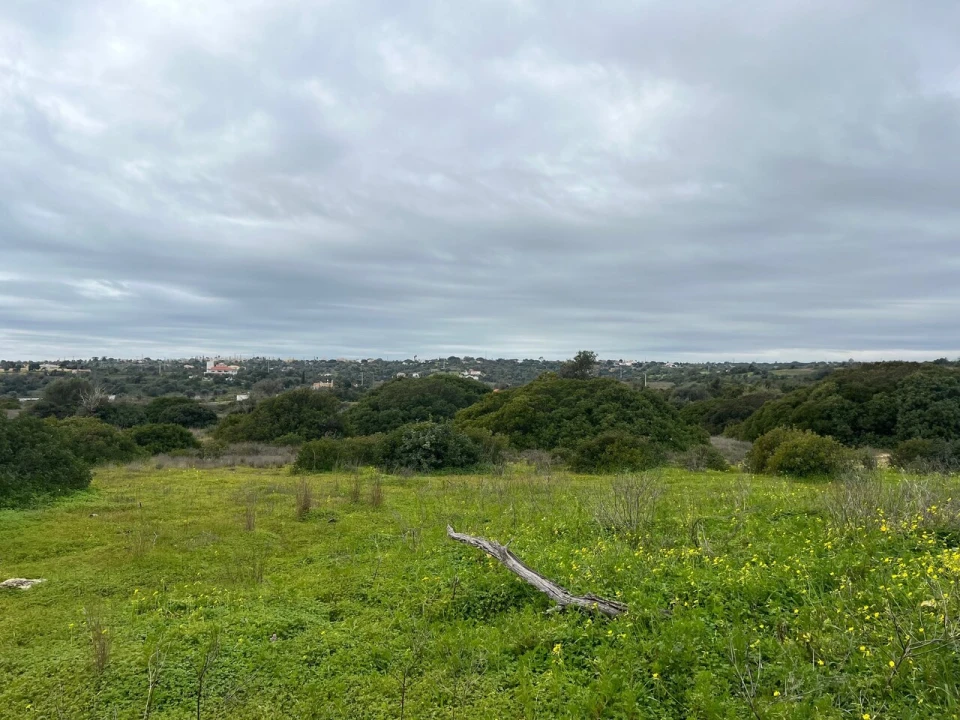Terreno para Venda em Alcantarilha e Pêra Foto 18