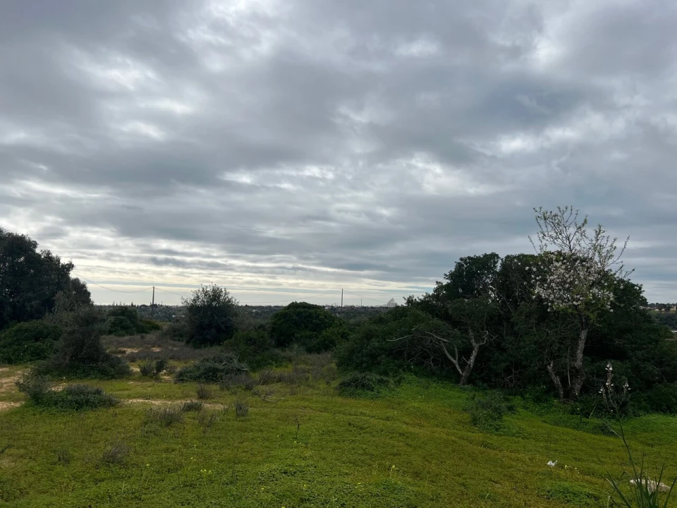 Terreno para Venda em Alcantarilha e Pêra Foto 20