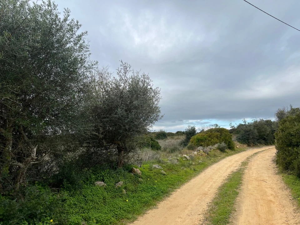 Terreno para Venda em Alcantarilha e Pêra Foto 27