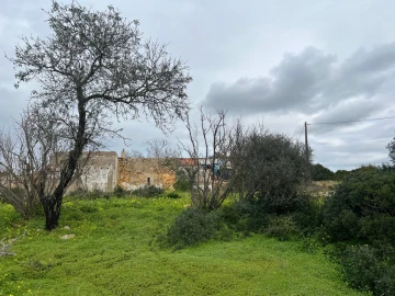 Terreno para Venda em Alcantarilha e Pêra