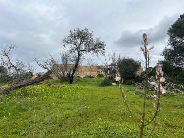 Terreno para Venda em Alcantarilha e Pêra