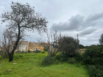 Terreno para Venda em Alcantarilha e Pêra