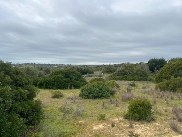 Terreno para Venda em Alcantarilha e Pêra