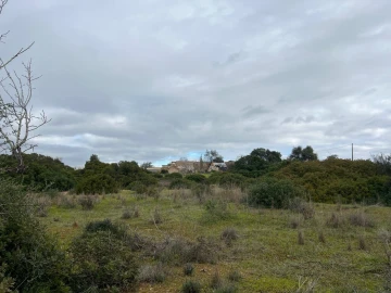 Terreno para Venda em Alcantarilha e Pêra