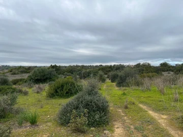 Terreno para Venda em Alcantarilha e Pêra