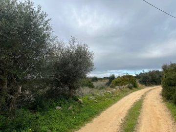 Terreno para Venda em Alcantarilha e Pêra