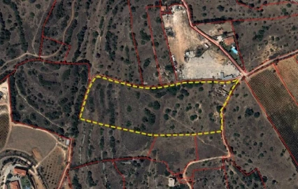 Terreno para Venda em Alcantarilha e Pêra