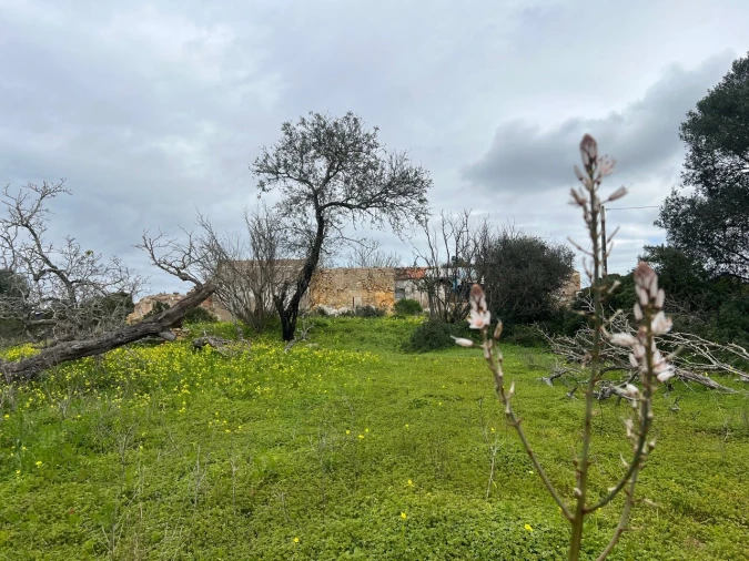 Terreno para Venda em Alcantarilha e Pêra Foto 10