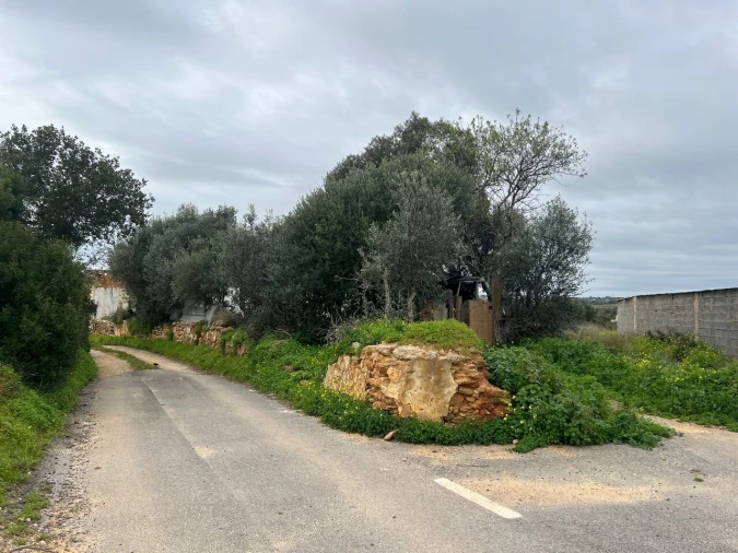 Terreno para Venda em Alcantarilha e Pêra Foto 14