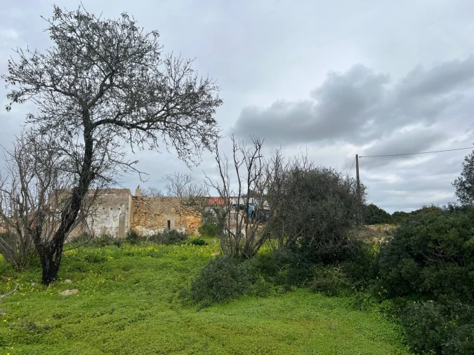 Terreno para Venda em Alcantarilha e Pêra Foto 16