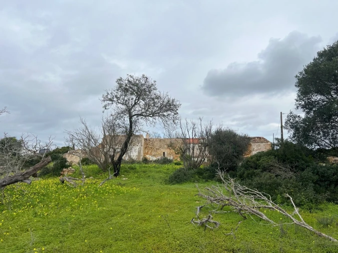 Terreno para Venda em Alcantarilha e Pêra Foto 17