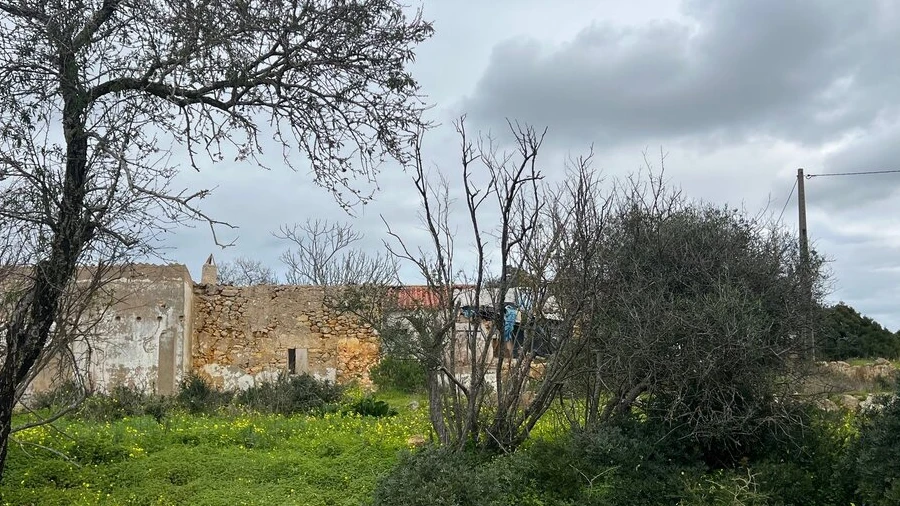 Terreno para Venda em Alcantarilha e Pêra