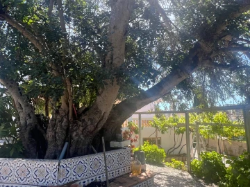 Moradia T5 para Venda em Albufeira e Olhos de Água
