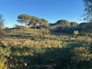 Terreno para Venda em Paderne