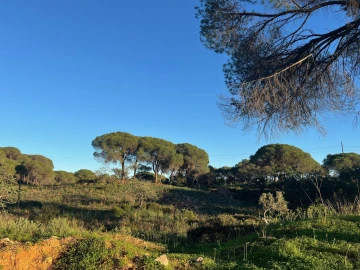 Terreno para Venda em Paderne