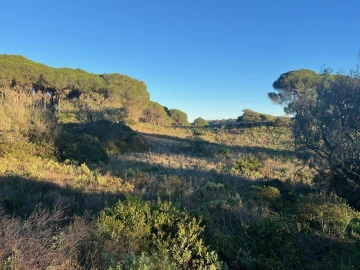 Terreno para Venda em Paderne