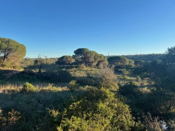 Terreno para Venda em Paderne